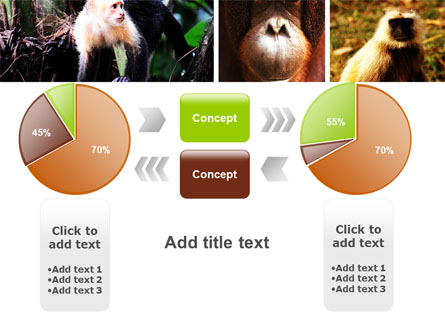 Primates Presentation Template For PowerPoint And Keynote | PPT Star