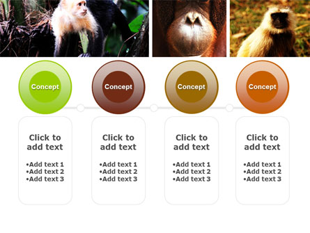 Primates Presentation Template For PowerPoint And Keynote | PPT Star