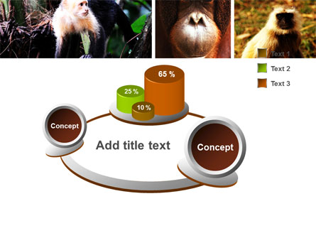 Primates Presentation Template For PowerPoint And Keynote | PPT Star