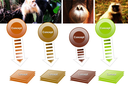 Primates Presentation Template For PowerPoint And Keynote | PPT Star