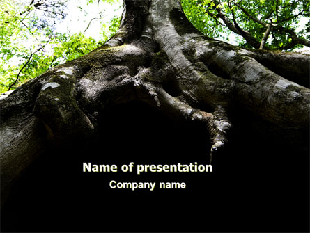 Tree Root Presentation Template, Master Slide