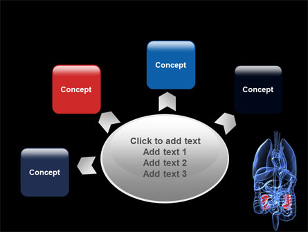 Kidney Presentation Template For PowerPoint And Keynote | PPT Star