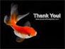 Goldfish On The Black Background slide 20