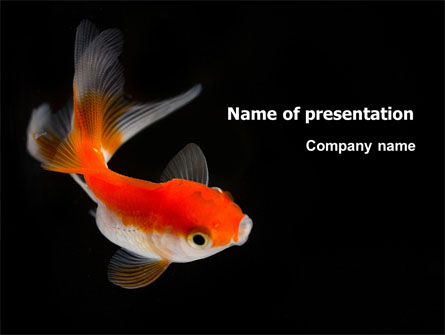 Goldfish On The Black Background Presentation Template, Master Slide