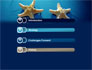 Starfish Background slide 3