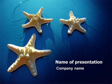 Starfish Background Presentation Template, Master Slide