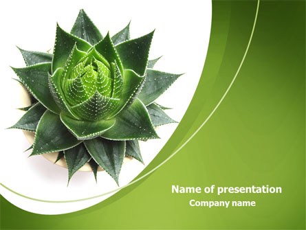 Aloe Plant Presentation Template, Master Slide