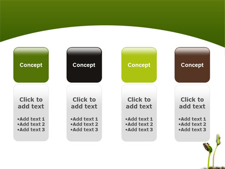 Sprouting Seed Presentation Template For PowerPoint And Keynote | PPT Star