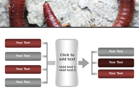 Earthworm Presentation Template For PowerPoint And Keynote | PPT Star