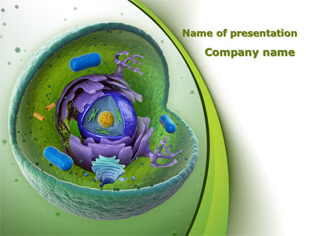 Animal Cell Cut Away Presentation Template for PowerPoint and Keynote | PPT  Star