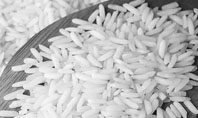 Grains Of White Rice Presentation Template