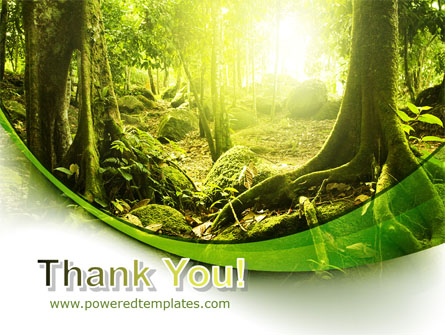 Jungle Forest Presentation Template For PowerPoint And Keynote | PPT Star