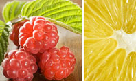 Vitaminized Berry Presentation Template