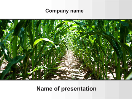 Corn Field Presentation Template, Master Slide