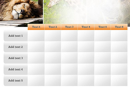 Wild Animals Presentation Template For PowerPoint And Keynote | PPT Star