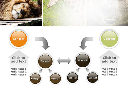 Wild Animals Presentation Template For PowerPoint And Keynote | PPT Star