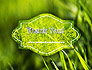 Green Grass Theme slide 20