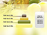 Olive Essential Oils slide 8