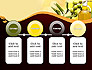 Olives and Oil slide 5