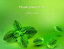 Mint Green Background slide 1