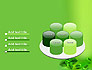 Mint Green Background slide 12