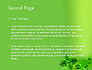 Mint Green Background slide 2