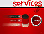 Developing a Perfect Services slide 11