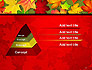Red and Yellow Autumn Leaves slide 12