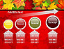 Red and Yellow Autumn Leaves slide 13