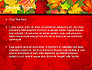 Red and Yellow Autumn Leaves slide 2