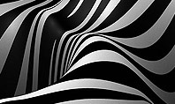Zebra Abstract Surface Presentation Template