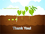 Peas Plant Growth Illustration slide 20