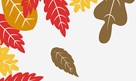 Autumn Oak Leaves Presentation Template