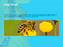 Bee Flies to Sunflower slide 10