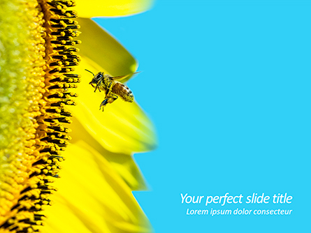 Bee Flies to Sunflower Presentation Template, Master Slide