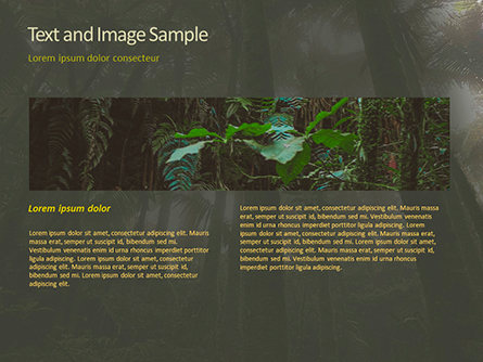 Tropical Rainforest Presentation Template for PowerPoint and Keynote
