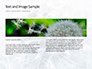 Closeup Photo of White Dandelion Flower slide 14