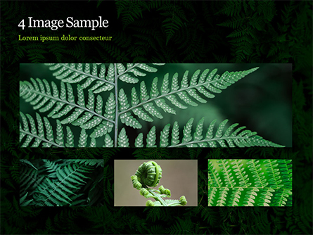 Fern Leaves Presentation Template For PowerPoint And Keynote | PPT Star