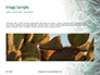 Cactus Thorns Closeup Presentation slide 10