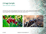Cactus Thorns Closeup Presentation slide 11