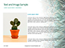 Cactus Thorns Closeup Presentation slide 15