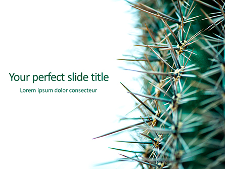 Cactus Thorns Closeup Presentation Presentation Template, Master Slide