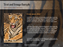 Close View of Tiger Skin Presentation slide 15