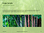 Green Bamboo Trees Presentation slide 10