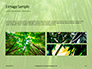 Green Bamboo Trees Presentation slide 12
