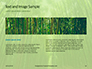 Green Bamboo Trees Presentation slide 14