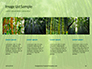 Green Bamboo Trees Presentation slide 16