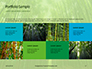 Green Bamboo Trees Presentation slide 17
