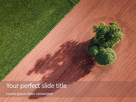 Aerial View of Field and Shade Tree Presentation Presentation Template, Master Slide