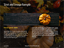 Still Life Harvest with Pumpkins and Leaves Presentation slide 14